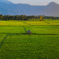 palakkad 85x85