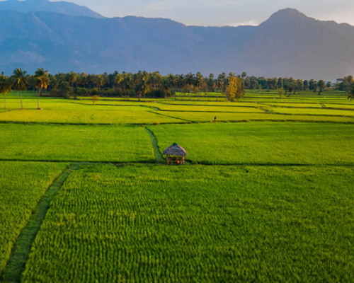 palakkad
